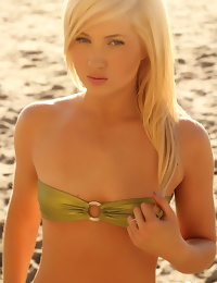 Blonde beach babe Ashlie Madison is at the beach in a skimpy strapless shinny bikini